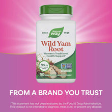 White bottle with green cap containing Nature's Way Wild Yam Root supplement, 100 vegan capsules, 700mg per serving.