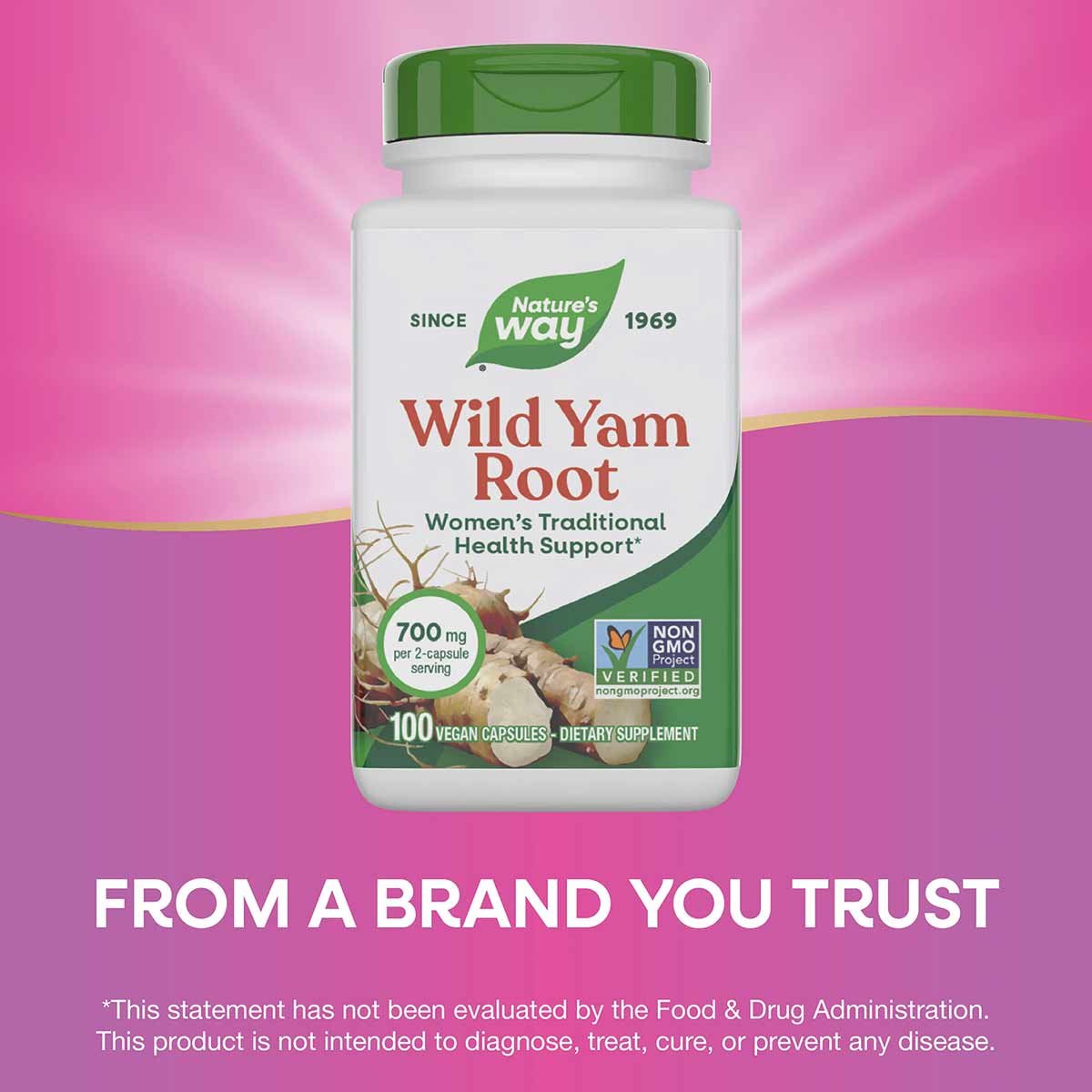 White bottle with green cap containing Nature's Way Wild Yam Root supplement, 100 vegan capsules, 700mg per serving.