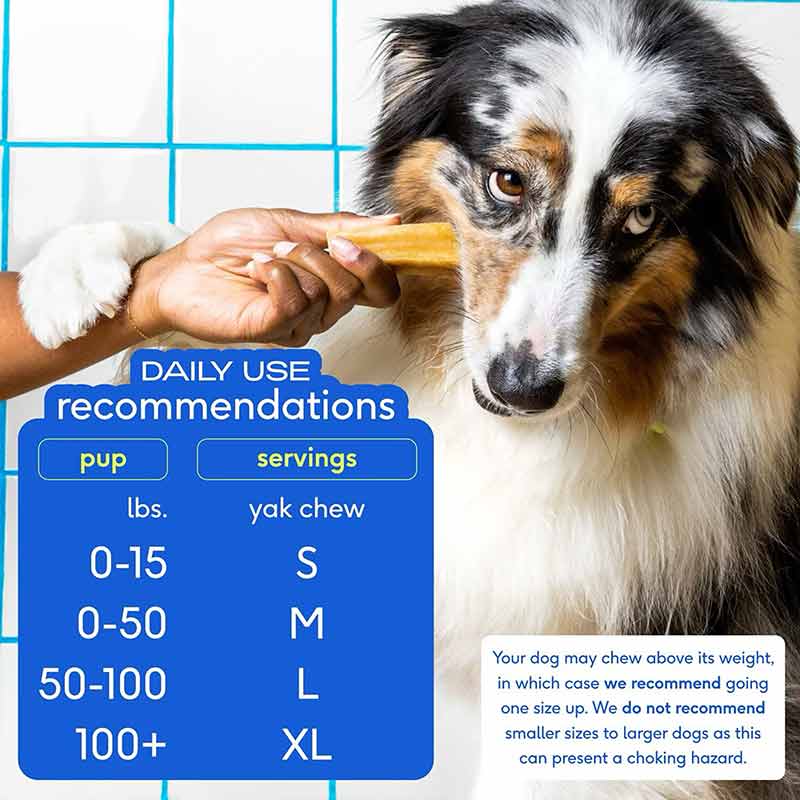 Yak Dental Chews , Himalayan Cheese Dog Treats, Medium, by Native Pet, image #6