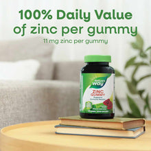 Nature's Way zinc gummy bottle with green cap on stacked books, containing 11 mg zinc per gummy.