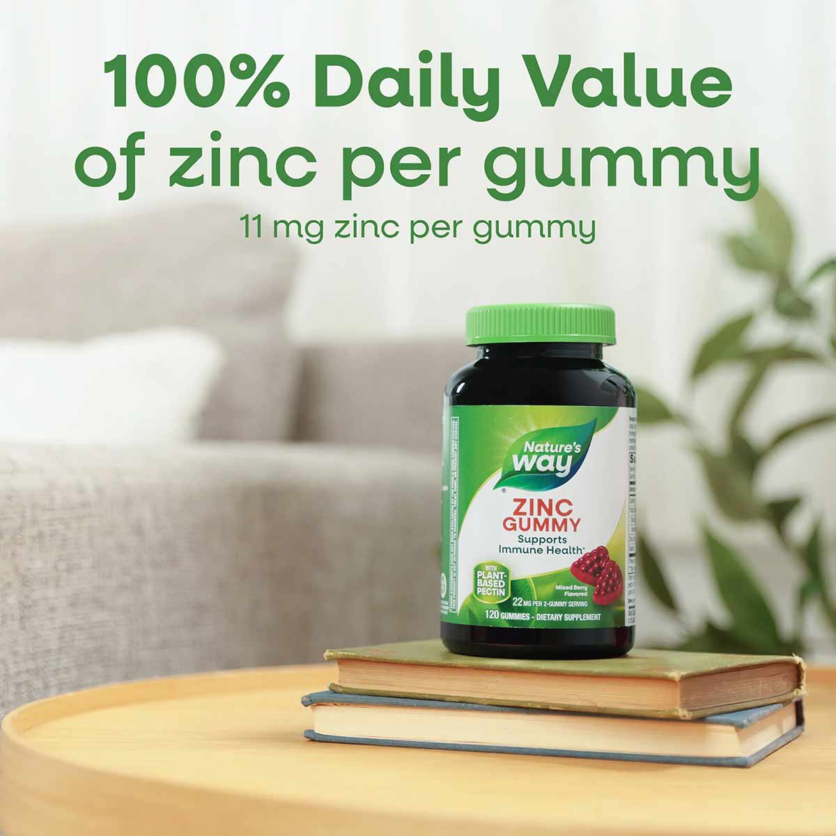 Nature's Way zinc gummy bottle with green cap on stacked books, containing 11 mg zinc per gummy.