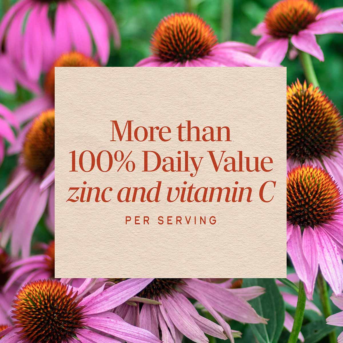 Cream-colored label with red text stating "More than 100% Daily Value zinc and vitamin C per serving" on background of pink a