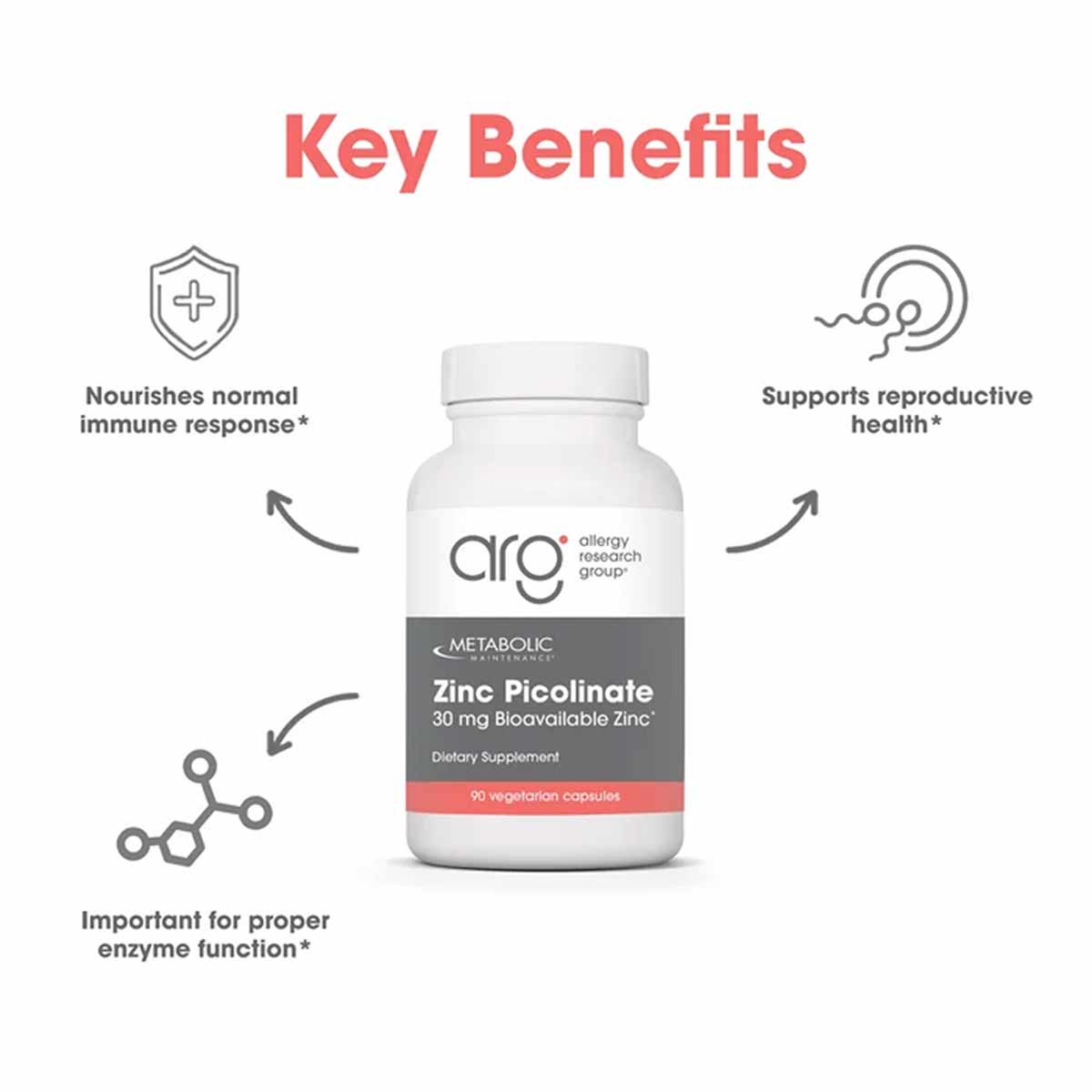 White supplement bottle of Zinc Picolinate 30 mg by Allergy Research Group with gray and red label, surrounded by benefit ico