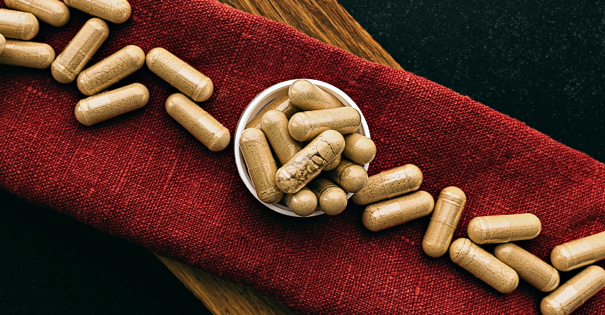 Lion's Mane supplement