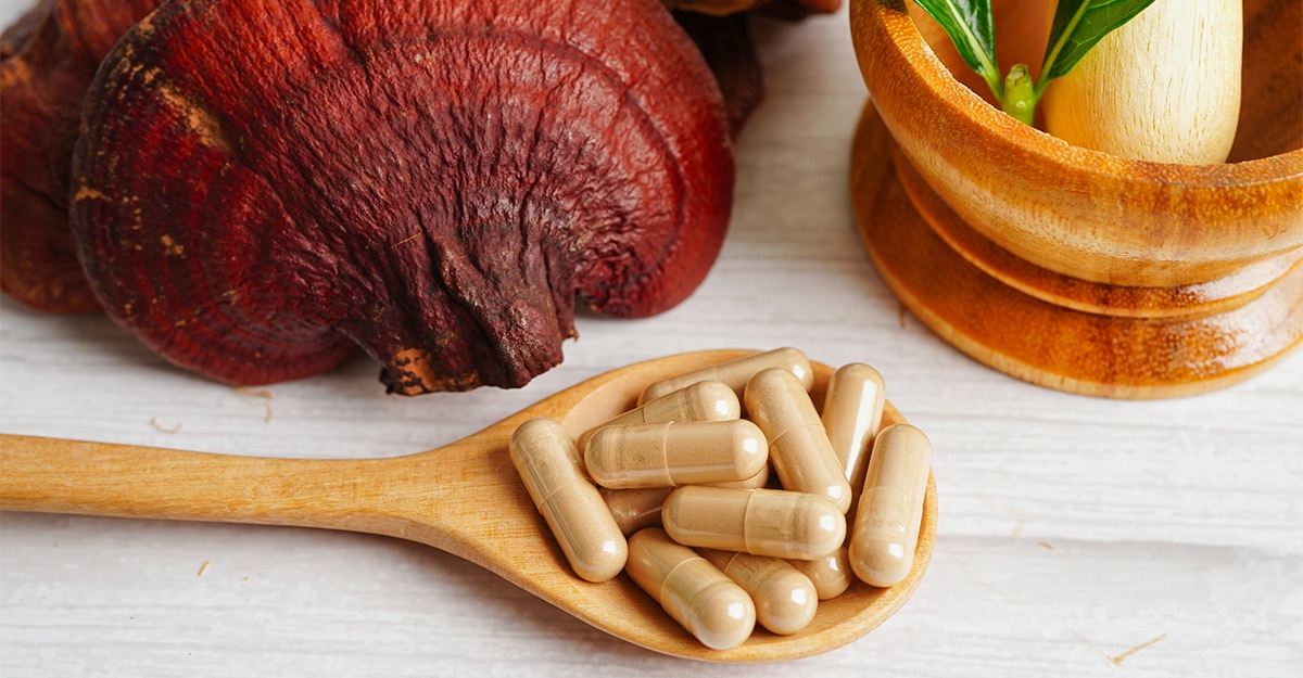 mushroom supplements