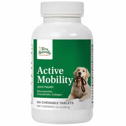 Active Mobility for Dogs