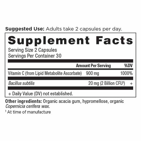 Ancient Nutrients Vitamin C + Probiotics, 60 Capsules, ANN