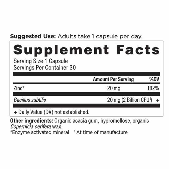 Ancient Nutrients Zinc + Probiotics, 30 Capsules, ANN