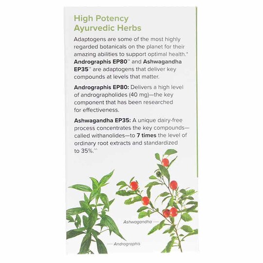 Andrographis and Ashwagandha, 60 Capsules, TNT
