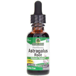 Astragalus Extract Alcohol-Free