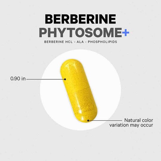 Berberine Phytosome+, 60 Capsules, CDE