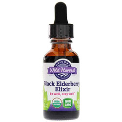 Black Elderberry Elixir 1