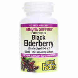 Black Elderberry Standardized Extract 100 Mg 1