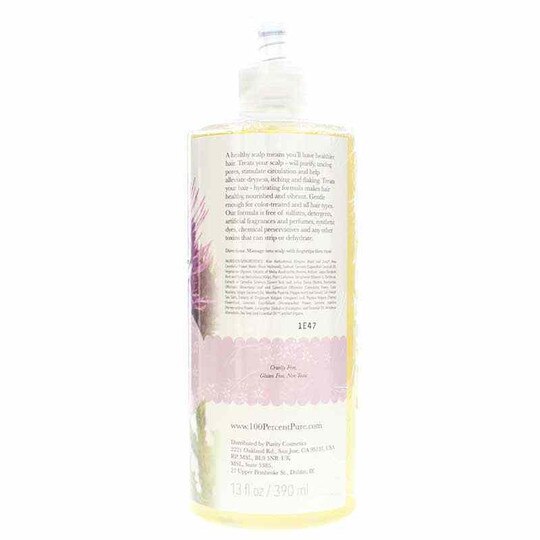 Burdock & Neem Healthy Scalp Shampoo, 13 Oz, 100P