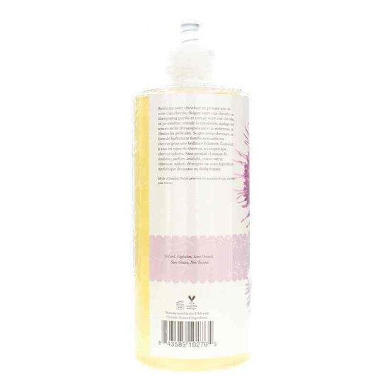 Burdock & Neem Healthy Scalp Shampoo, 13 Oz, 100P