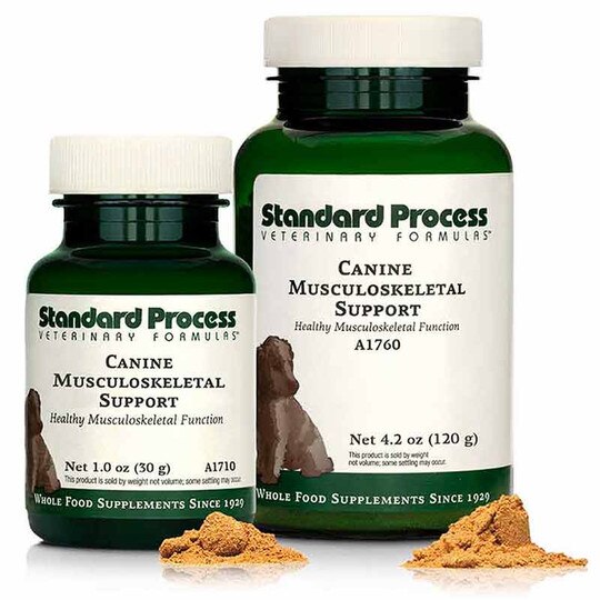 Canine Musculoskeletal Support, SP