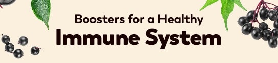 Boosters for a Healthy Immune System