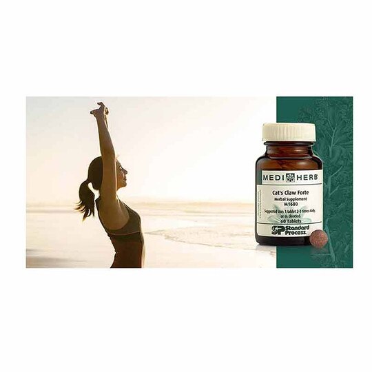 Cat's Claw Forte, 60 Tablets, SP