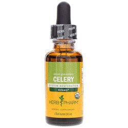 Celery Extract 1