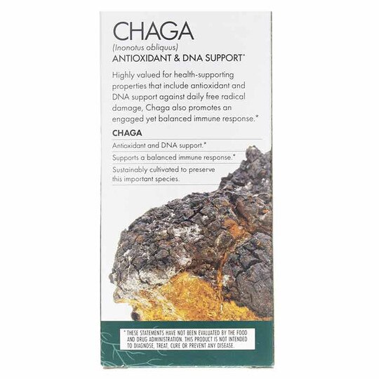 Chaga Antioxidant Support, 60 Veg Capsules, HDF