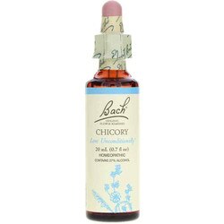 Chicory Flower Essence 1
