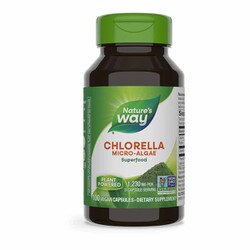 Chlorella Micro-Algae 1