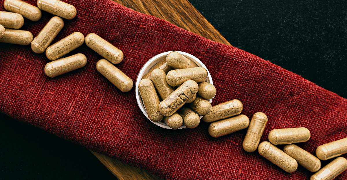 Best Lion's Mane Supplement