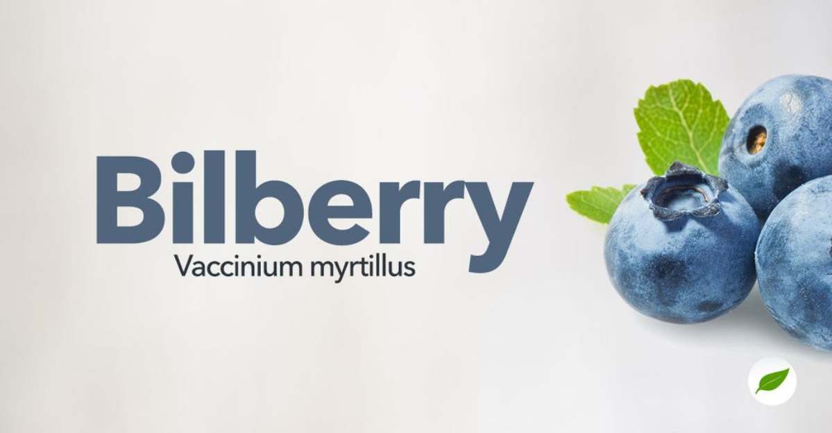 Bilberry