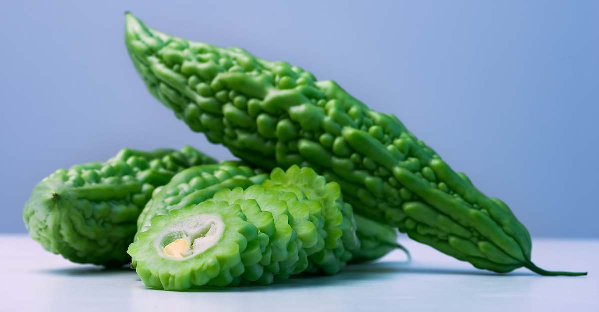 Bitter Melon