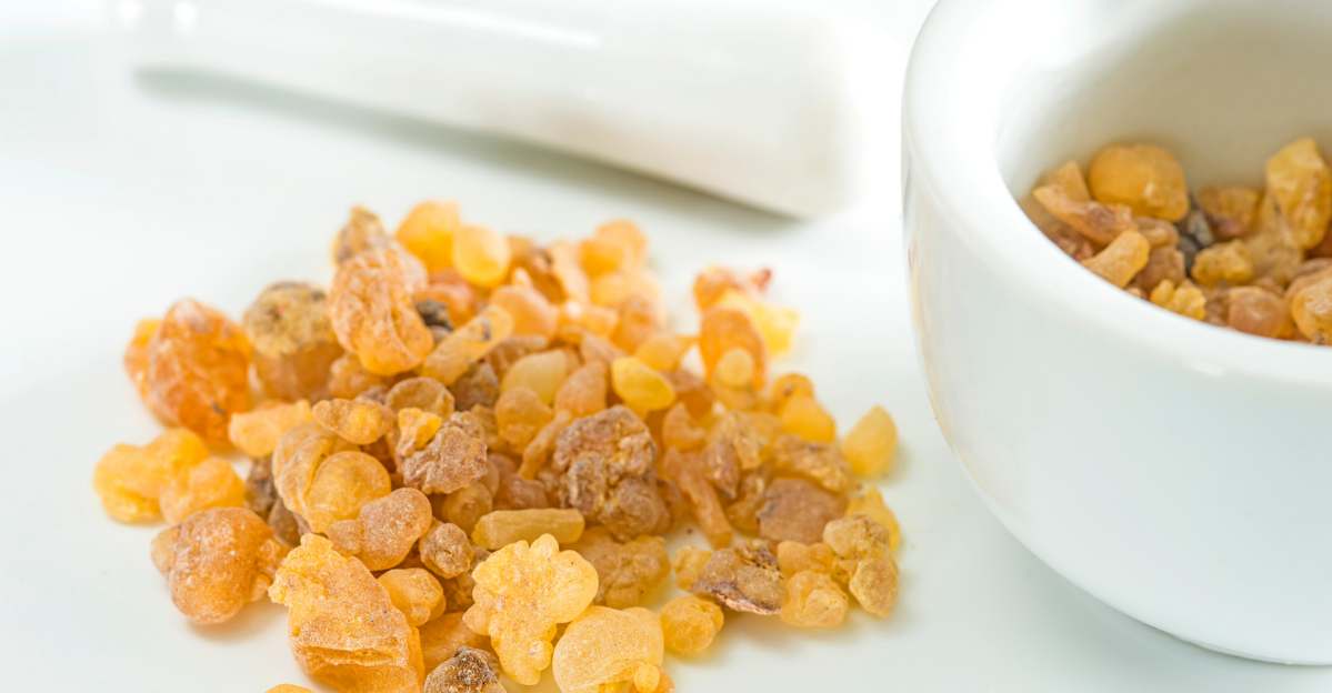 Boswellia