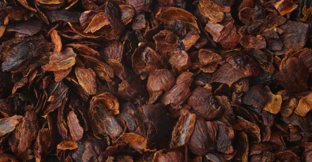 Cascara Sagrada