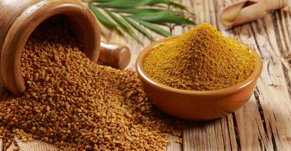 Fenugreek