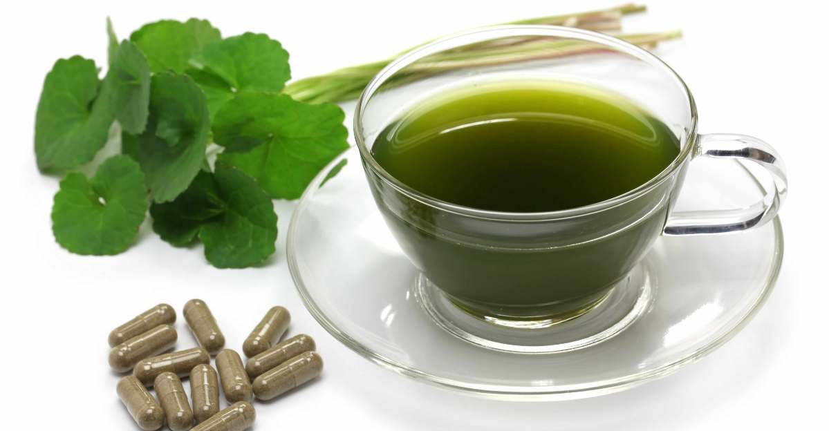 Gotu Kola