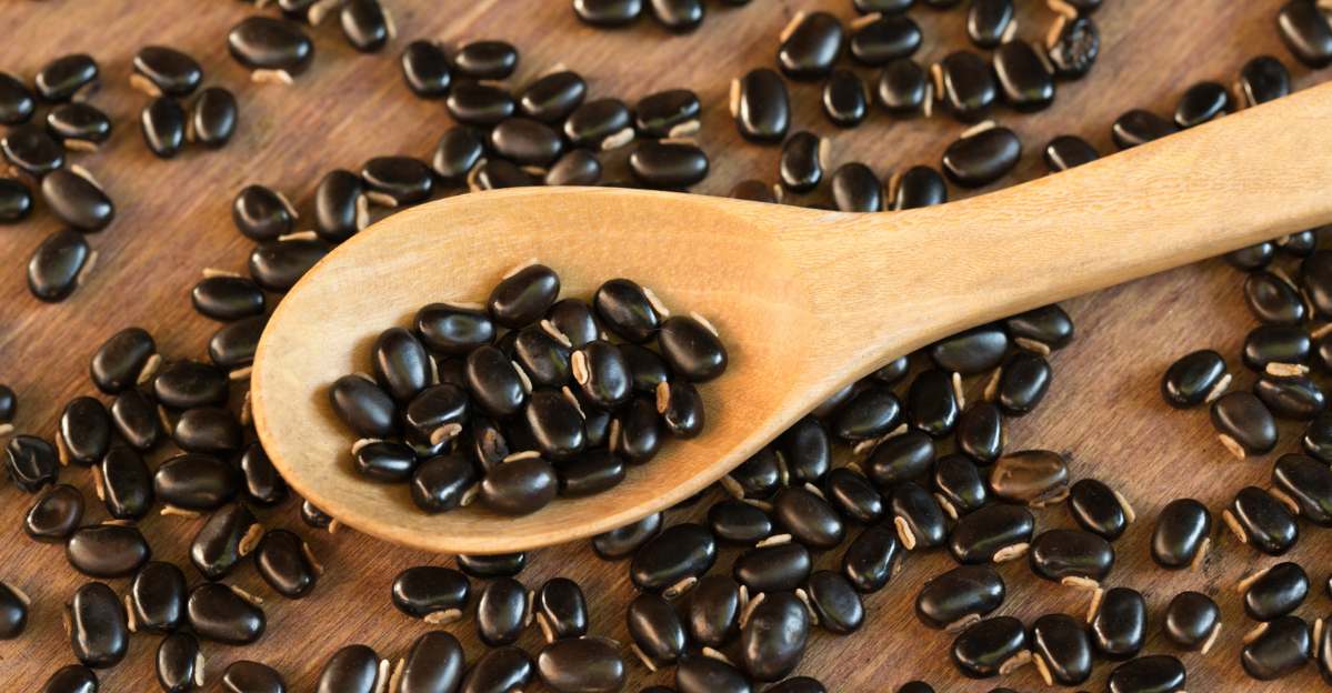 Mucuna Pruriens