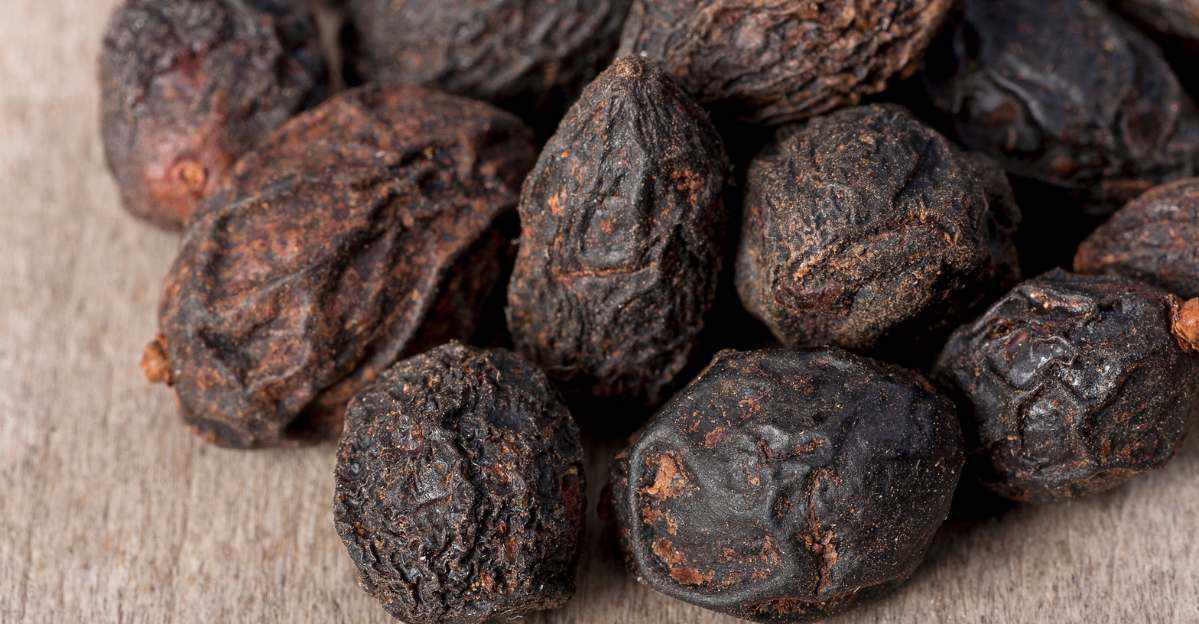 Saw Palmetto