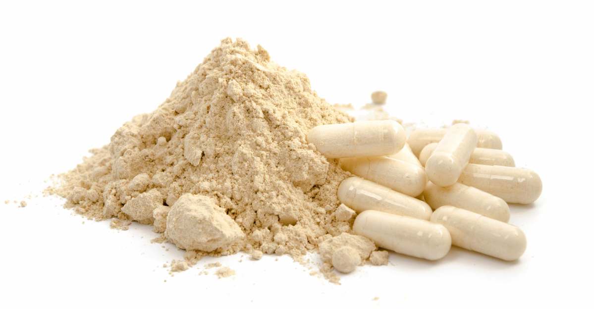 A Scientific Review of Ashwagandha