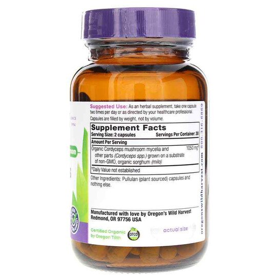Cordyceps, 60 Vegan Capsules, OWH