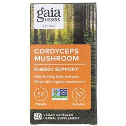 Cordyceps Mushroom Energy Support 1