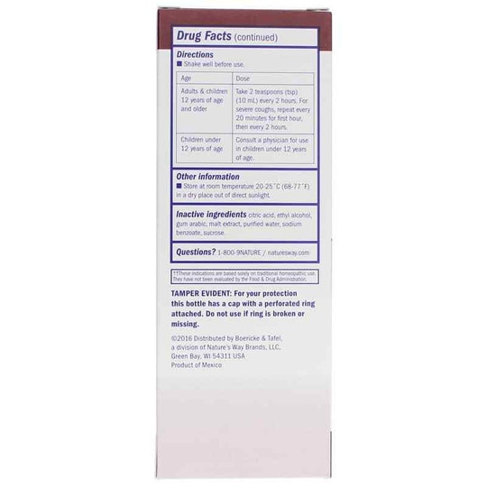 Daytime Cough & Bronchial Syrup, 8 Oz, BT