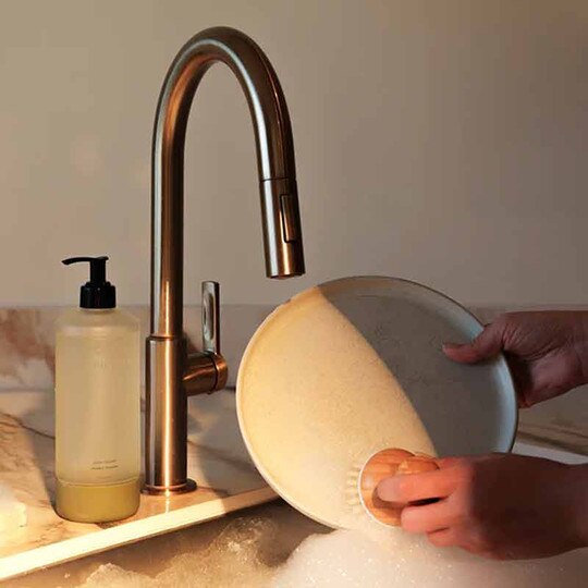 Dish Soap Kit, CBT