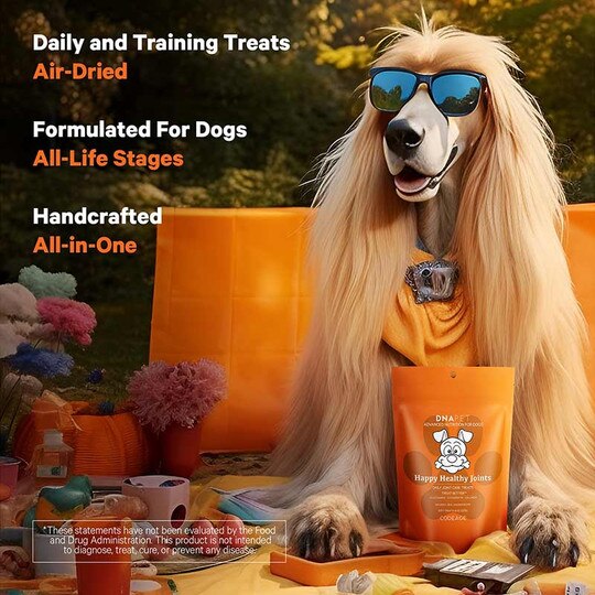 DNA PET Happy Healthy Joints Soft Treats, 8 Oz, CDE