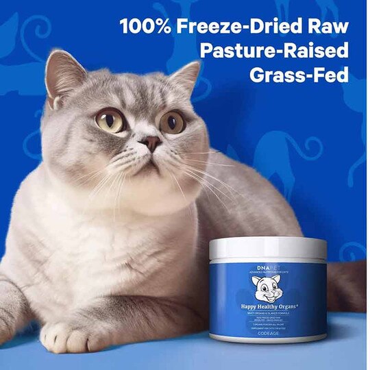 DNA PET Happy Healthy Organs for Cats, 1.48 Oz, CDE