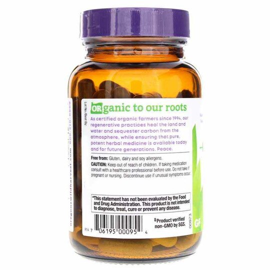 Echinacea, 90 Vegan Capsules, OWH