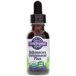 Echinacea Goldenseal Plus Liquid 1