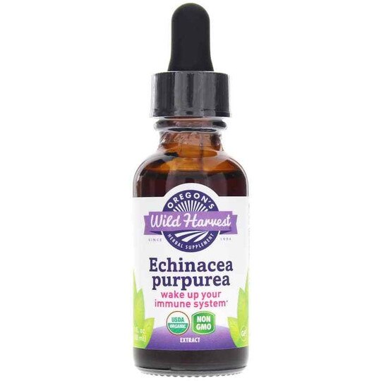 Echinacea pupurea Extract, 1 Oz, OWH
