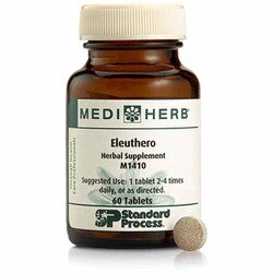 Eleuthero 1