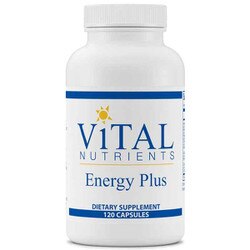 Energy Plus