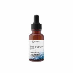 ENT Support 1