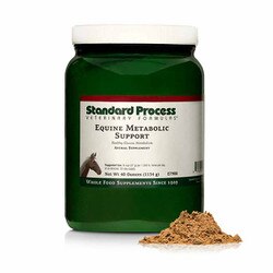 Equine Metabolic Support