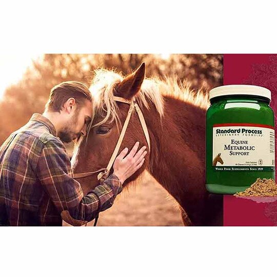 Equine Metabolic Support, 40 Oz, SP